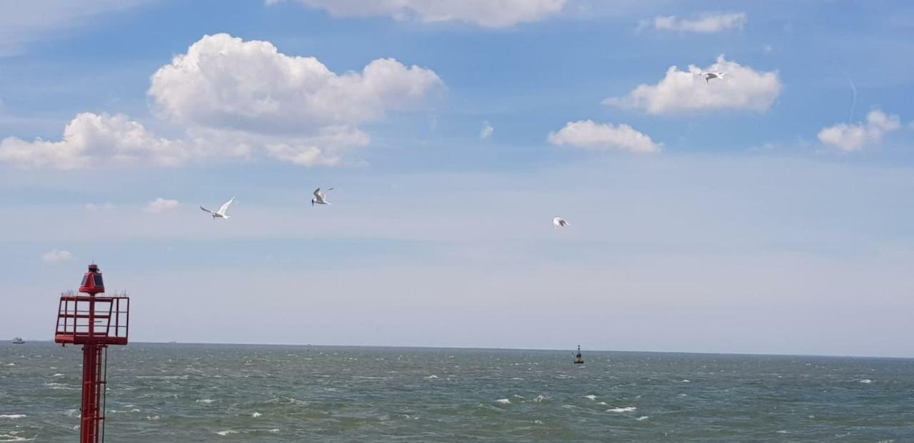 Ons Lägenhet Vlissingen Exteriör bild